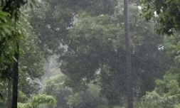 Mercredi 30 janvier 2008 -

De fortes pluies continuent de s'abattre sur La Réunion