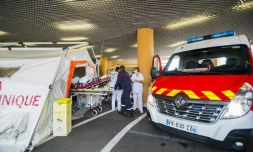 Des pompiers transportent un patient atteint du Covid-19 sur une civière à l'intérieur d'une tente de triage à l'extérieur de l'hôpital universitaire Pierre Zobda-Quitman University hospital (CHU) à  Fort-de-France le 30 juillet 2021
