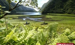 Randonnée à cheval à Grand-Etang dans les Hautes Plaines