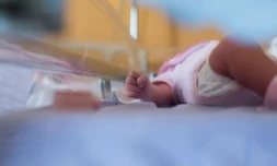 Le premier bébé conçu grâce à une nouvelle technique expérimentale controversée consistant à utiliser l'ADN de deux femmes dans l'embryon pour éviter la transmission d'une maladie héréditaire maternelle, est né en avril dernier
