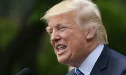 Donald Trump, le 4 mai 2017 à la Maison Blanche