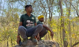 Des pisteurs de l'Ă©quipe "les amis de l'Ă©lĂ©phant" tentent de localiser un troupeau sauvage dans une forĂȘt Ă Dhawalpur, dans l'Etat de Chhattisgarh, le 12 mars 2025 en Inde