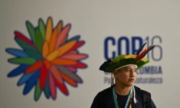 Un indigène brésilien présent sur le site où se tiendra la conférence COP16 au Pacific Event Center à Cali, en Colombie, le 20 octobre 2024