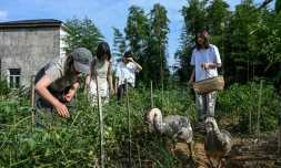 Chen Yani (d), fondatrice du lieu "L'Univers imaginaire de Keke", dans le potager du gîte rural avec des  participantes, le 14 juillet 2025 à Hangzhou, dans la province du Zhejiang, dans l'est de la Chine