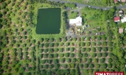 Retenue collinaire sur une exploitation agricole de l'est