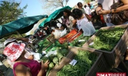 Légumes verts au marché forain