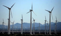 Des éoliennes à Palm Springs, en Californie