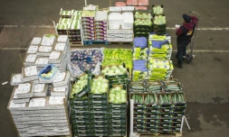 La zone des légumes au marché international de Rungis, le 1er décembre 2017, prÚs de Paris