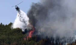 Un hĂ©licoptĂšre Airbus H125 largue de l'eau sur un incendie de forĂȘt Ă Taradeau, le 20 juillet 2026 dans le Var