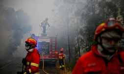 Des pompiers combattent des feux de forêt à Sardoal, au Portugal, le 17 août 2017