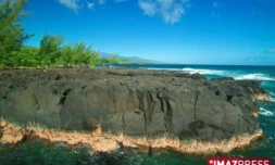 pointe corail dans l'est  de l'île