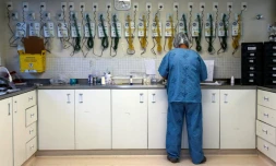 Un membre des équipes de soignants vérifie les respirateurs dans l'unité de soins intensifs qui accueille les patients atteints du Covid-19 à l'hôpital  Emilio Ribas  à Sao Paulo, le 20 avril 2020 