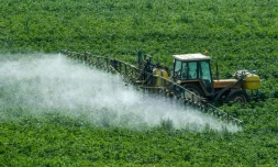 La France, première puissance agricole européenne, a du mal à s'en passer: les pesticides restent considérés comme un "moyen de production" par une majorité d'agriculteurs