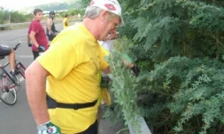 Une bande d'arrêt d'urgence envahie par des &quot;zépinar&quot;, c'est dangereux pour les cyclistes