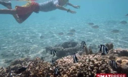Photos sous-marine dans le lagon