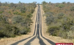 Parc Kruger (Afrique du Sud)