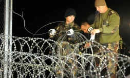 Soldats et policiers hongrois achèvent de mettre les derniers barbelés pour fermer la frontière entre la Hongrie et la Croatie à Botovo, le 16 octobre 2015