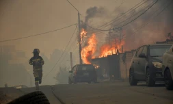Les feux de forêt gagnent des habitations à Concepcion, au Chili, le 18 janvier 2026