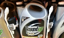 Des bidons de désherbant Roundup sur les rayons d'un magasin de San Rafael, le 9 juillet 2018 en Californie