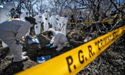 Du personnel médico-légal travaille à l'exhumation de restes humains à Huitzuco de los Figueroa, le 21 janvier 2019