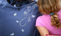 Les tee shirts s'affichent