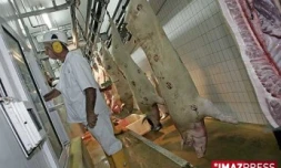 L'abattoir de Saint-Pierre