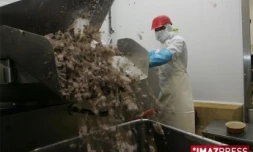 Abattoir de la Réunion