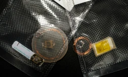 Des puces utilisées par le programmateur Vladislav Zaïtsev, adepte du "biohacking", le 27 novembre 2019 à Moscou.