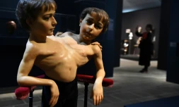 Une sculpture en cire des siamois Giacomo et Giovanni-Battista Tocci présentée lors de l'exposition "Cabinets de curiosité" au Fonds Hélène et Edouard Leclerc de Landerneau, en France