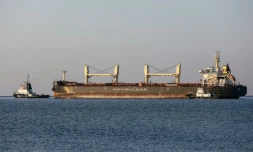 Le cargo Rojen, sous pavillon maltais, fait route vers l'Angleterre depuis Tchernomorsk en Ukraine, avec 13.000 tonnes de mais, le 5 août 2022