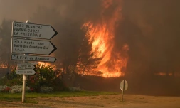 Incendie prÚs de Vitrolles, à trente kilomÚtres au nord de Marseille, le 10 août 2016