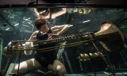 Performance en apnée dans un aquarium à Aarhus (Danemark), le 19 avril 2017