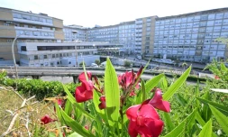 L'hôpital Gemelli où le pape François a été opéré d'une hernie abdominale, le 8 juin 2023 à Rome