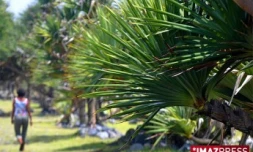 Ballade dans l'Est de l'île de la Réunion