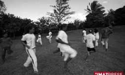 Moringue à Bagatelle dans l'est de l'île de la Réunion