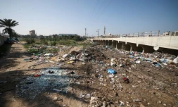 Des déchets en plastique dans le marais de Wadi Gaza que les autorités locales  veulent transformer en premier parc naturel de l'enclave palestinienne, le 9 février 2022