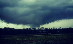 Une tornade à Dothan, en Alabama, le 3 mars 2019
