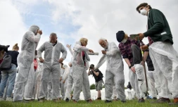 Des militants pour le climat se préparent à un entraînement, le 20 juin 2019 à Viersen (Allemagne)