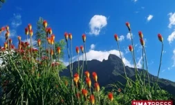 Paysage de la Reunion