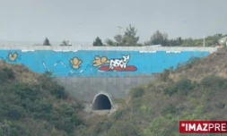 Imaginés par Jace les Gouzous se sont installés sur la route des Tamarins