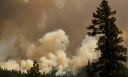 L'incendie Dixie ravage une zone près de Susanville, en Californie, le 18 août 2021