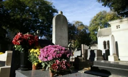 Romain Banliat est allé fleurir le cimetière de son village, Plerguer en Île-et-Vilaine, avec un camion chargé de 400 à 500 compositions florales de saison, "des primevères, des jacinthes, des jonquilles"