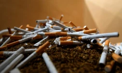 Des cigarettes de marque contrefaites découvertes par des douaniers à Aartselaar, près de Bruxelles, le 4 août 2021