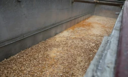 Des oeufs sont détruits dans un élevage de poules en Belgique, le 9 août 2017