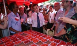 Nicolas Sarkozy devant un étal de fraises au marché de Saint-Paul