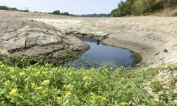 Deux-tiers de la France connaissent déjà des sols "secs à très secs" en raison d'un "manque quasi continu de pluie depuis septembre", selon Météo-France
