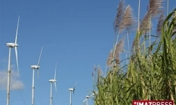 Eoliennes à Sainte-Suzanne
