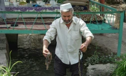 Nematoullo Bassirov, 58 ans, montre des déchets ramassés dans le canal d'irrigation qui passe dans sa cour, le 27 août 2025 à Kolkhozobod, dans le sud-ouest du Tadjikistan