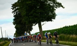 Le peloton du Tour de France au début de la 6e étape, le 7 juillet 2022 entre Binche en Belgique et Longwy