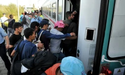 Des migrants et réfugiés montent dans un train à la gare d'Ilaca, le 17 septembre 2015 en Croatie, près de la frontière avec la Serbie